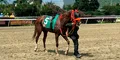 Resultados del 5y6 del 6 de julio en el Hipódromo La Rinconada: caballos ganadores y órdenes de llegada de todas las carreras