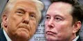 Elon Musk arremete contra Trump por fin de caso Epstein sin revelarse archivos: "¿Cómo tener fe en él si no los publica?"