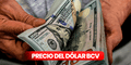 Precio del dólar BCV y dólar paralelo en Venezuela hoy, 19 de julio de 2025