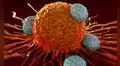La nueva inumoterapia: descubren células que matan “todo tipo de cáncer”