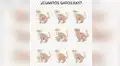 ¿Cuántos gatos encuentras en la imagen? El reto visual que pocos superan