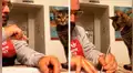 Hombre se ‘distribuye’ las labores del hogar con su gato y este tiene una singular reacción [VIDEO]