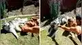 YouTube viral: padre e hija tienen peculiar método para entrenar a su perro