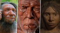 Sapiens, neandertales y denisovanos: ¿cómo fue la convivencia entre estas especies?