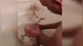 Gato protagoniza dramática escena para evitar ser bañado por su dueño [VIDEO]