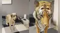 Google: conoce cómo poner animales en 3D en tus fotos usando el buscador de tu celular