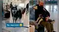Perro no reconoce a su dueño tras no verlo un año, pero cuando lo hace no deja de besarlo