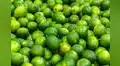 Colombia podrá exportar limón, palta y piña a Perú desde este lunes