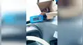 Chofer encuentra a perro en lamentables condiciones en medio de la pista y lo adopta [FOTOS] 