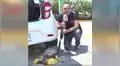 Reportero para su transmisión en vivo para ayudar a un perro callejero que estaba herido [VIDEO]