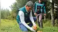 Senasa autoriza funcionamiento de procesadoras de hongos