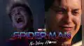 No way home, tráiler 2: ni Andrew ni Tobey aparecerían, según acertado insider