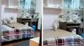 Cámara de vigilancia capta a su perro en curiosa situación y miles se ríen al verlo [VIDEO]