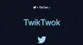 TikTok y Twitter en una sola app: conoce la nueva red social de videos TwikTwok que emociona a miles