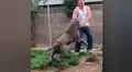 Hombre abre jaula a enorme perro y el can tiene una asombrosa reacción al verlo [VIDEO]