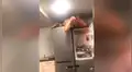YouTube: Mujer ebria intentó subirse a un refrigerador pero todo le sale mal [VIDEO]