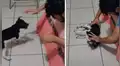 Madre ingresa al cuarto de su hijo y se topa con divertida escena entre él y su perro [VIDEO]