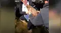 Oyen desgarradores sonidos en laguna, se acercan y rescatan a ciervo bebé [VIDEO] 