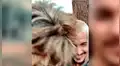 Entra a santuario de león para tomarse ‘selfie’, sin sospechar la efusiva reacción del depredador [VIDEO]
