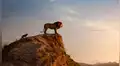 El Rey León: mira el tráiler completo de la cinta con Timón, Pumba y Scar [VIDEO]