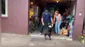Perro ve a su dueño luego de un año y protagonizan conmovedora escena en su reencuentro [VIDEO]