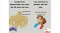 ¿Cuál es el origen del ‘meme de los perros’ que se burla de los jóvenes? [FOTOS]