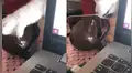 Travieso gato intenta robar el postre de su dueña mientras ella trabaja en la computadora [VIDEO]