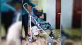Perro no quiere que su dueña lo deje solo y se esconde en el coche de su bebé para ir con ellos [VIDEO]