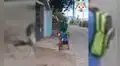 Niño conmovió a miles al ponerle una mascarilla a su perro y a sí mismo para protegerse contra el coronavirus [VIDEO]