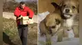 Joven se conmueve al hallar unos cachorros abandonados y los termina adoptando [VIDEO]