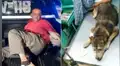Muere Mati, la perrita que fue violada por un hombre de 53 años [VIDEO]