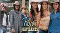 Pasión de Gavilanes: accidentes, actrices que querían otro papel y pánico en escena [VIDEOS]