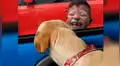 Facebook: perro rescatado y 'niño payasito' protagonizan tiernas imágenes que se volvieron virales