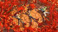 Pixar Fest llega a los canales Disney con las mejores películas animadas 