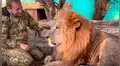 Hombre se reencuentra con león que crió de cachorro, el felino no lo reconoce y lo ataca [VIDEO]