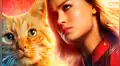 Capitana Marvel: Primeras impresiones afirman que 'Goose' es la verdadera estrella