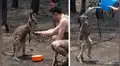 Niño salva la vida de canguro al echarle agua para curar las quemaduras en su cuerpo [FOTOS] 