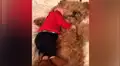 Mujer deja a su perro al ‘cuidado’ de su hijo y al regresar los capta en tierna escena [VIDEO]  
