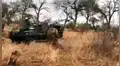 Leopardo atrapa a presa sin imaginar que una feroz hiena arruinaría todo [VIDEO]