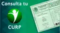CURP: ¿cómo tramitar online la Clave Única de Registro de Población en México?