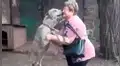Facebook viral: perro tiene conmovedora reacción al ver a su cuidadora, luego de dos años [VIDEO]