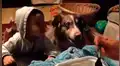 Intenta hacer que bebé diga “mamá”, pero su perro se adelanta y lo dice primero [VIDEO]