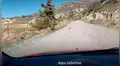 Se topa con cachorro abandonado en plena carretera y se detiene para rescatarlo [VIDEO]
