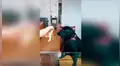 Perro obliga a su dueña a que le dé comida en su hocico y tiene enfurecida reacción [VIDEO] 