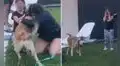 Niñas protagonizan un conmovedor reencuentro con su perro perdido hace dos meses [VIDEO]