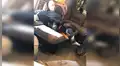 Hombre con discapacidad adopta a perro en silla de ruedas que fue rechazado por su condición [VIDEO] 