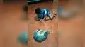 Deja a su hijo junto con su gato y al volver los capta en una tierna escena 