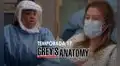 Grey’s anatomy 17x03: Meredith se desmaya y fans debaten sobre su salud