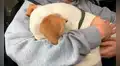 Perro ‘abraza’ a la mujer que evitó su muerte en un garaje abandonado [VIDEO]