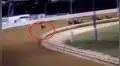EE. UU.: estaba a punto de ganar y caballo abandonó la competencia en la última vuelta [VIDEO]